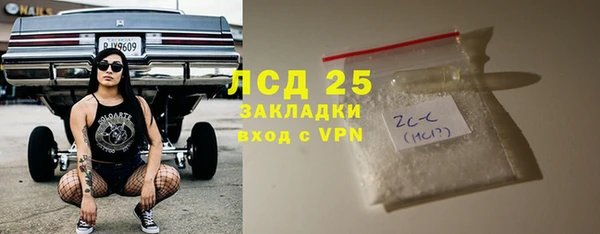 сатива Волосово