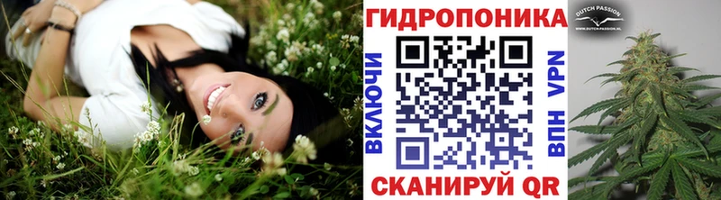 продажа наркотиков Дивногорск Шишки марихуана OG Kush